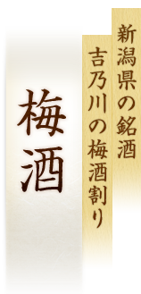 新潟県の銘