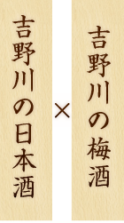 吉野川の梅